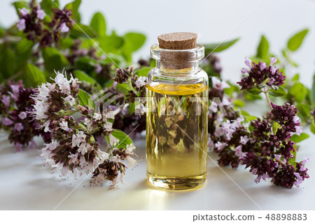A bottle of oregano essential oil 48898883