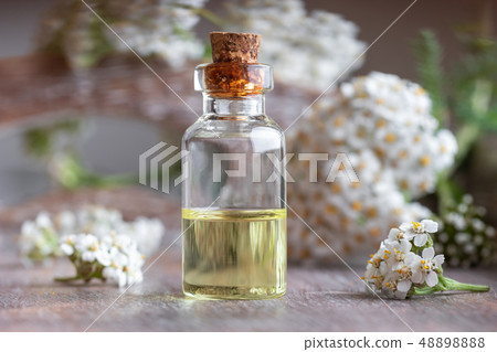 A bottle of yarrow essential oil  48898888