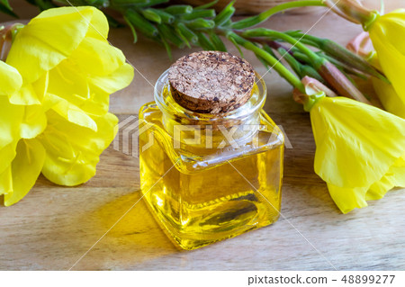 Evening primrose oil with fresh blooming plant 48899277