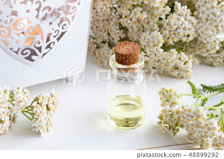 A bottle of yarrow essential oil  48899292