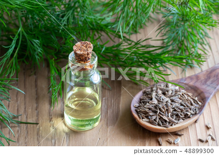 A bottle of dill seed oil with dill seeds  48899300