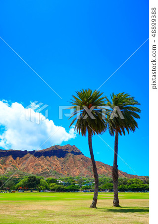 從卡皮歐拉尼公園（夏威夷）看到的鑽石頭 48899388