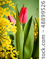 Spring bouquet with tulip and mimosa 48899526
