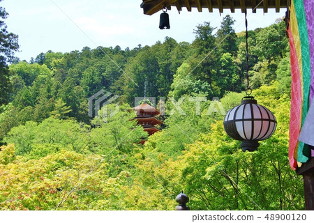 Nara Hase-dera的五層寶塔 Nara Hase-dera的五層寶塔 48900120