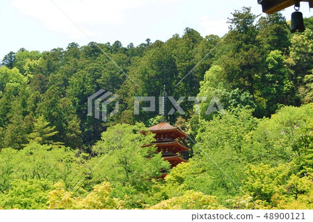 Nara Hase-dera的五層寶塔 Nara Hase-dera的五層寶塔 48900121
