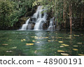 Waterfall and green water pond in the forest  48900191