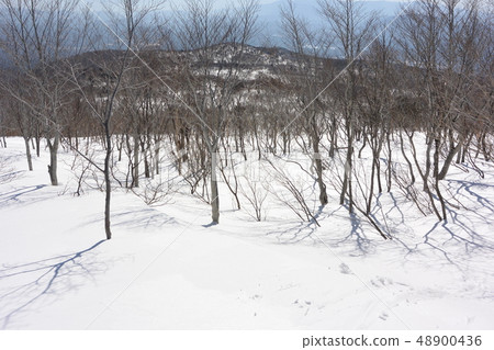 Zao Not forgetting mountain Zao Not forgetting mountain 48900436