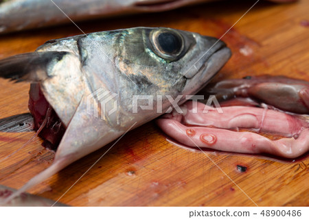 Anisakis感染了鯖魚的內臟 Anisakis感染了鯖魚的內臟 48900486