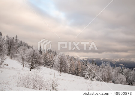 A wonderful winter landscape in beautiful Bavaria A wonderful winter landscape in beautiful Bavaria 48900878