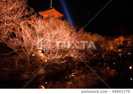 京都東山花燈路2019年清水寺 京都東山花燈路2019年清水寺 48901579