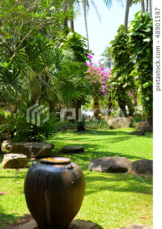 Phuket resort beautiful garden 48901597
