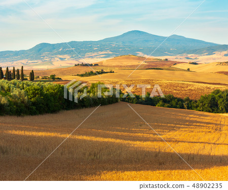 Tuscany sunrise countryside, Italy Tuscany sunrise countryside, Italy 48902235