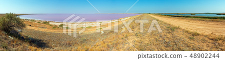 Pink salty Syvash Lake and blue fresh lake by the 48902244