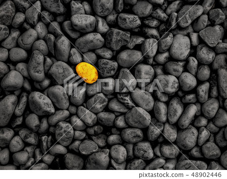 unique stone stand out from the crowd concept - 48902446