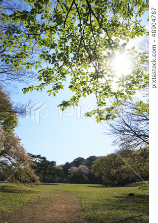 Meiji Jingu Meiji Jingu 48904787