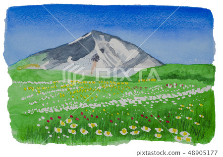 Asahidake where alpine plants bloom 48905177