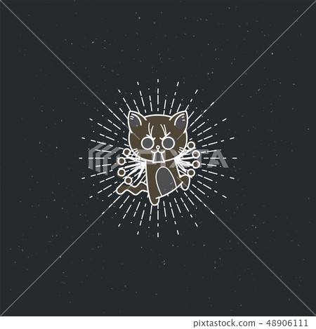 Vector illustration of a bristling cartoon cat Vector illustration of a bristling cartoon cat 48906111
