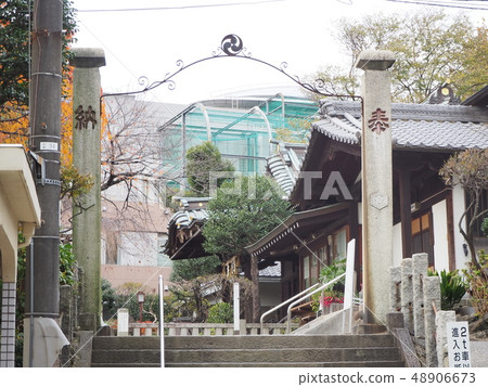 白山神社 48906673