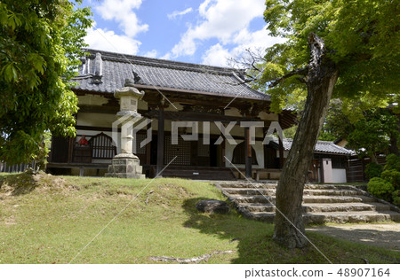 東大寺 東大寺 48907164