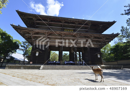 Todaiji Namdaemun Todaiji Namdaemun 48907169