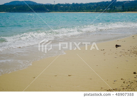 海灘 海灘 48907388