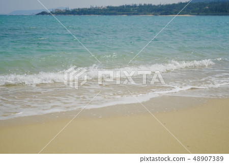 海灘 海灘 48907389