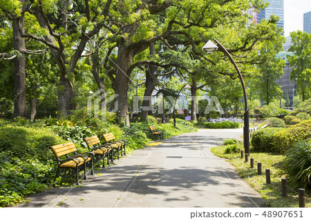 Hibiya Park 48907651