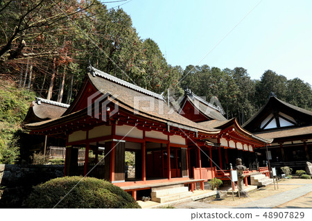 The main temple of Nagamiji Temple (Shiga Prefecture) The main temple of Nagamiji Temple (Shiga Prefecture) 48907829