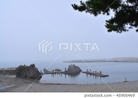 Kuji-Kosode捕魚港口風景 48908469