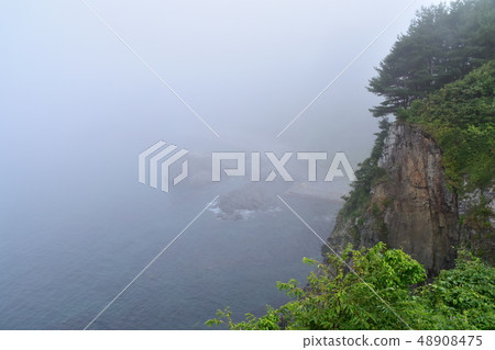 Kuji-Kosode捕魚港口風景 Kuji-Kosode捕魚港口風景 48908475