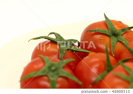 Fresh, rustic, ripe, lush "mini tomatoes" 48908513