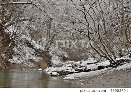 樹的森川 48908704