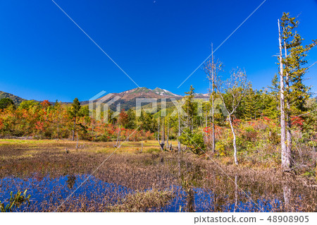 （長野縣）Norikura Kogen在秋天 48908905