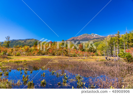 （長野縣）Norikura Kogen在秋天 48908906