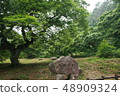 登島在廣島縣的早晨 48909324