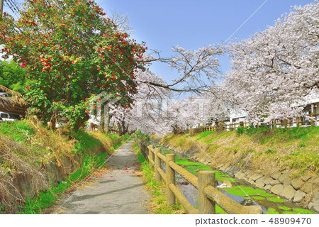 Yukiya河 Yukiya河 48909470
