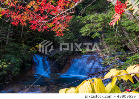 (Nagano Prefecture) River that flows from Norikura plateau three-bon waterfall of autumn leaves 48909659