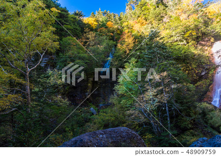 （長野縣）Norikura Kogen Takamoto秋葉的三個瀑布 48909759