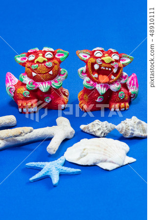 Seasa and Seashell 48910111