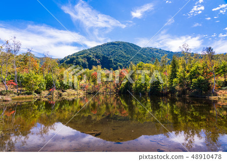 （長野縣）秋季Norikura Kogen Ichinosese地面 48910478