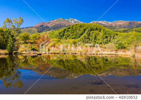 （長野縣）Norikura Kogen在秋天 48910652