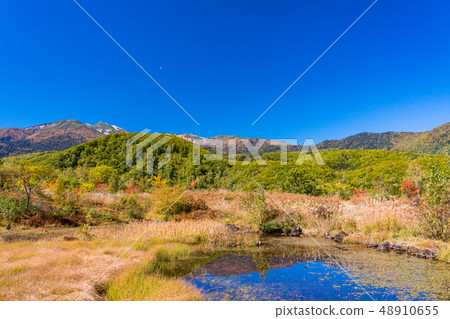 （長野縣）Norikura Kogen在秋天 48910655