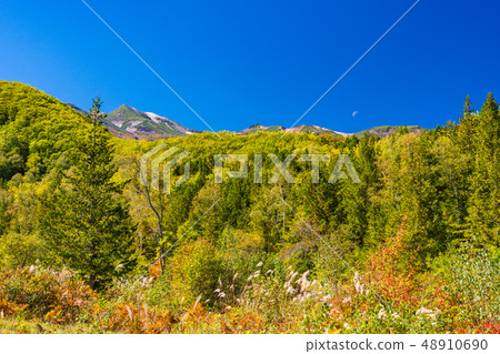 (Nagano Prefecture) Autumn Norikura Kogen Ichinosesen ground Fall moon 48910690