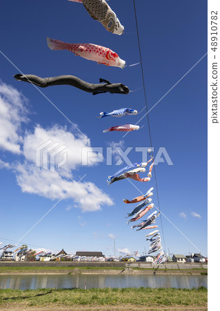 Carp streamer Kitakami exhibition place 48910782