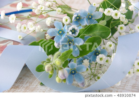 Bouquet of blue star (oxytopetalum) and present Father's day blue ribbon Bouquet of blue star (oxytopetalum) and present Father's day blue ribbon 48910874