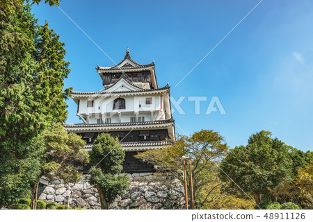 Iwakuni castle castle tower 48911126