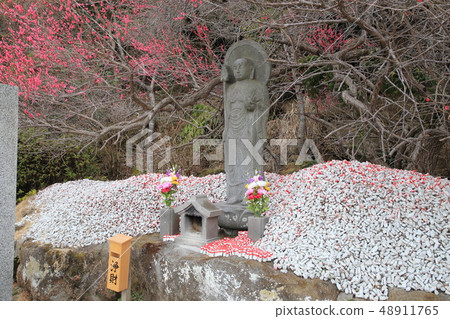 Chiba Jyoyama Nihonji Temple Ask Jizo 48911765
