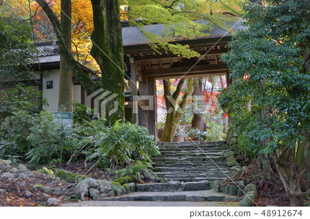 Teppei寺公園Arima Onsengo秋葉 Teppei寺公園Arima Onsengo秋葉 48912674