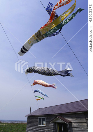 Seaside carp streamer Seaside carp streamer 48913178