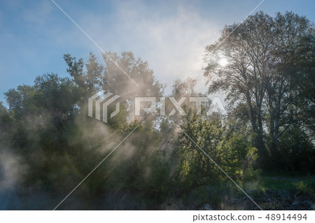 Landscape with fog and sun rays 48914494